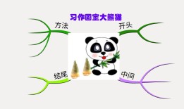 熊猫知识思维导图，探索中国国宝的奥秘