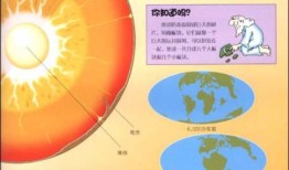 百科问答游戏，规则、玩法与视频教程全解析