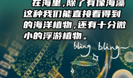 百科常识，知识海洋中的璀璨明珠