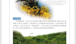 探索知识的海洋，百科知识大全网站的力量