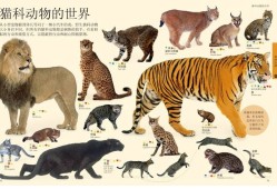 动物百科常识选择题汇总，探索自然界的奇妙生物