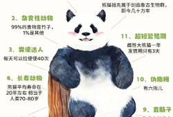 揭秘熊猫，一般人不知道的十大冷知识