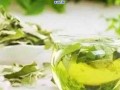 探索茶的神奇功效，高血喝什么茶能降血压