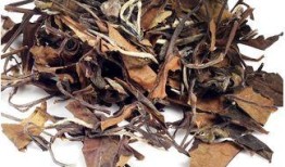 探索茶文化，哪些茶类有助于降低血压？