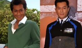 百科常识读后感，知识的海洋，智慧的灯塔