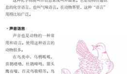 动物王国的奇妙世界，百科题目及答案