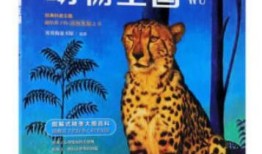 动物百科全书，探索动物王国的奥秘