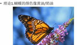 探索200多种蝴蝶的英语名称及其生态意义
