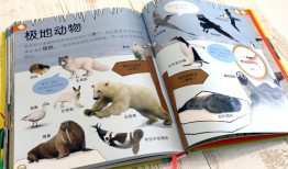 动物百科全书，探索自然界的奇妙生物