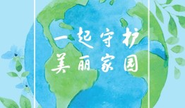 花与自然，和谐共生的艺术