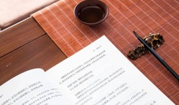 传统文化这本书，探索智慧的源泉