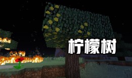 我的世界苦力怕，游戏世界中的绿色炸弹