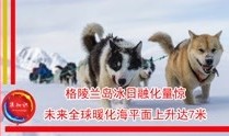 动物世界大揭秘，趣味问答题挑战你的知识极限