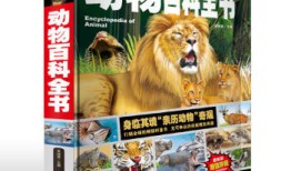 动物百科全书，探索自然界的奇妙生物
