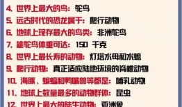百科知识大全问答，探索世界的奥秘