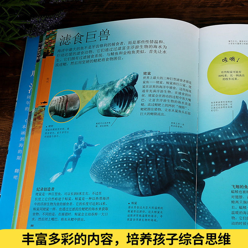 百科全书知识科普，探索知识的海洋