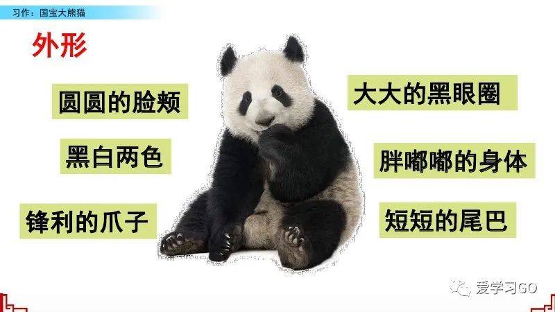 探秘国宝，熊猫知识资料全解析