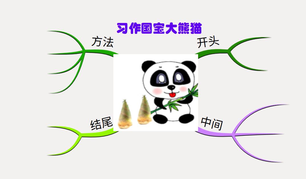 熊猫知识思维导图，探索中国国宝的奥秘