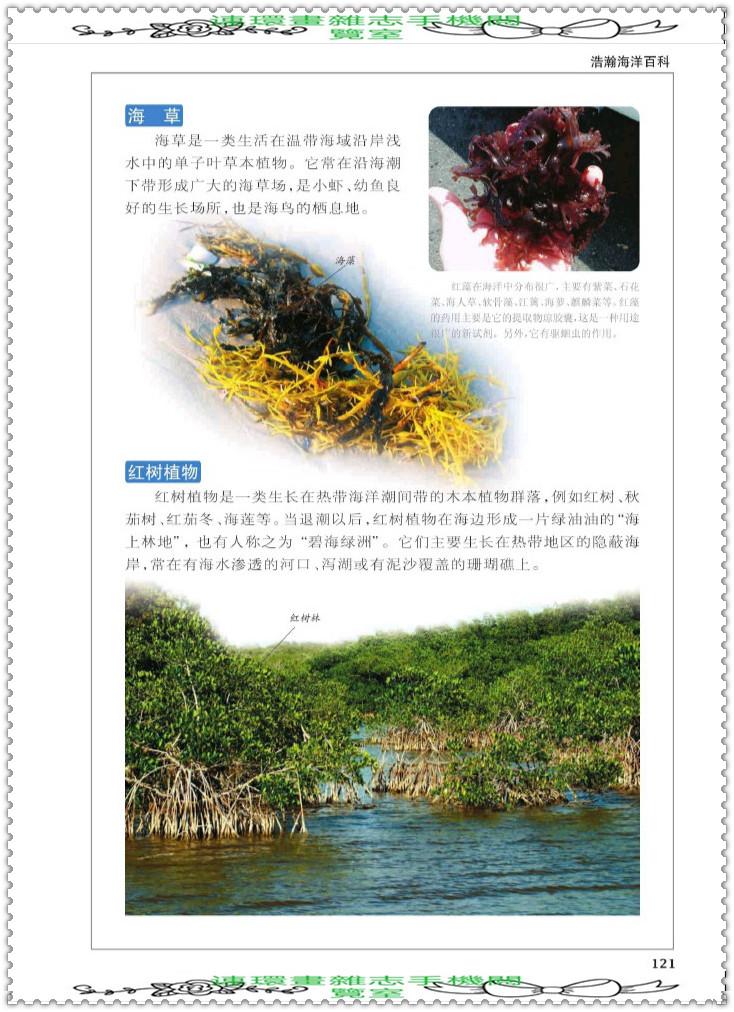 探索知识的海洋，百科知识大全网站的力量