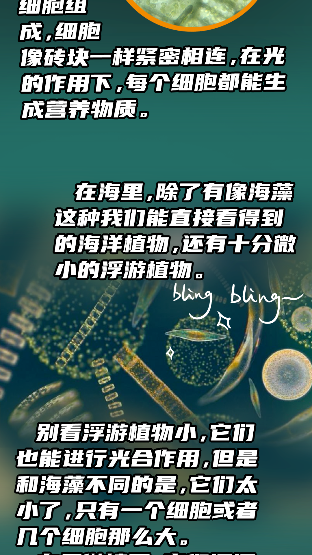 百科常识，知识海洋中的璀璨明珠