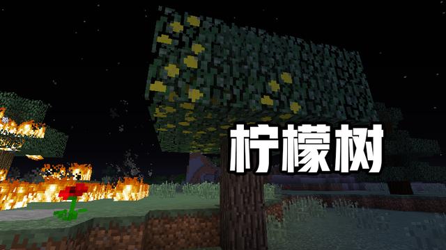 我的世界苦力怕，游戏世界中的绿色炸弹