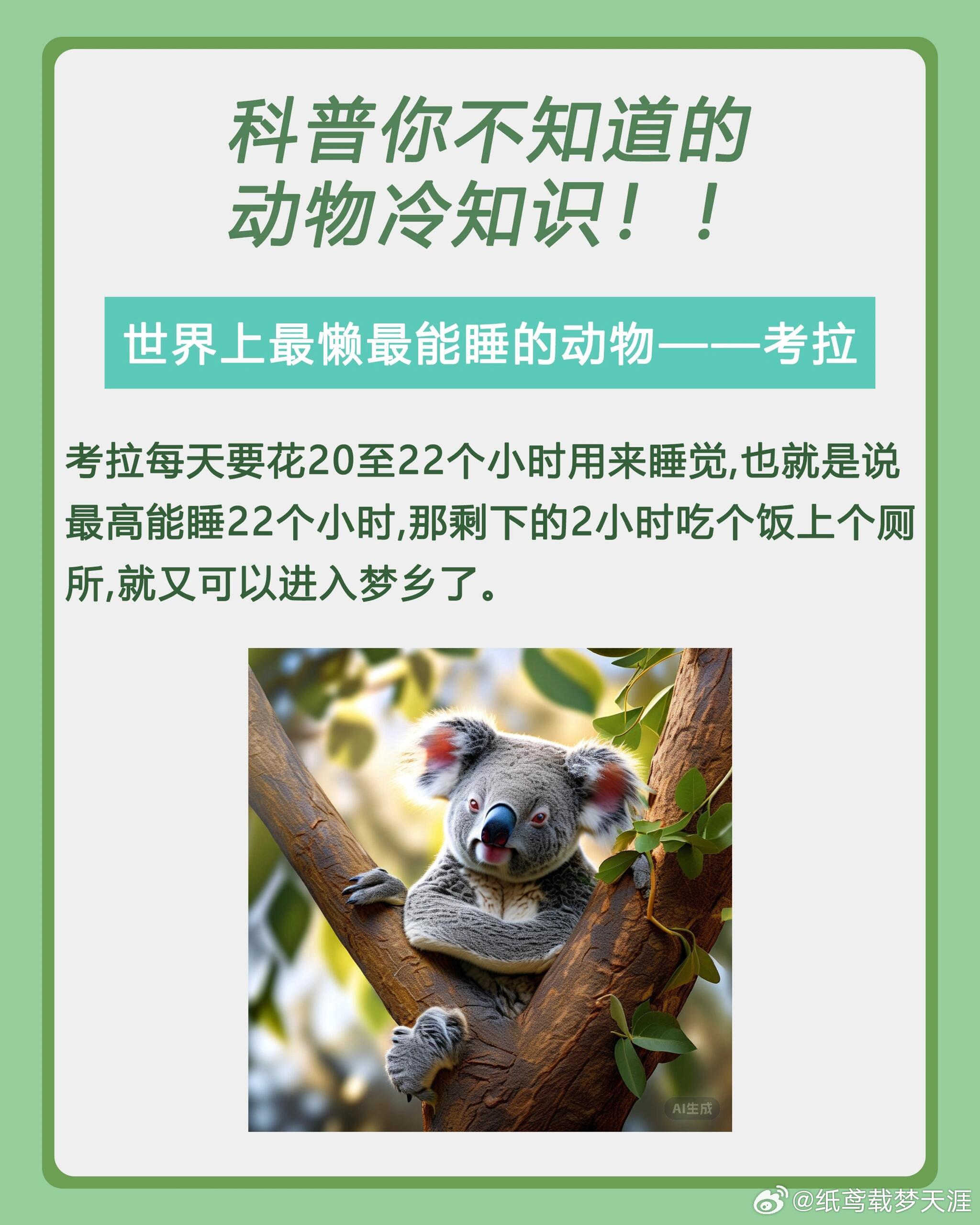 探索动物世界的奥秘，科普知识大揭秘