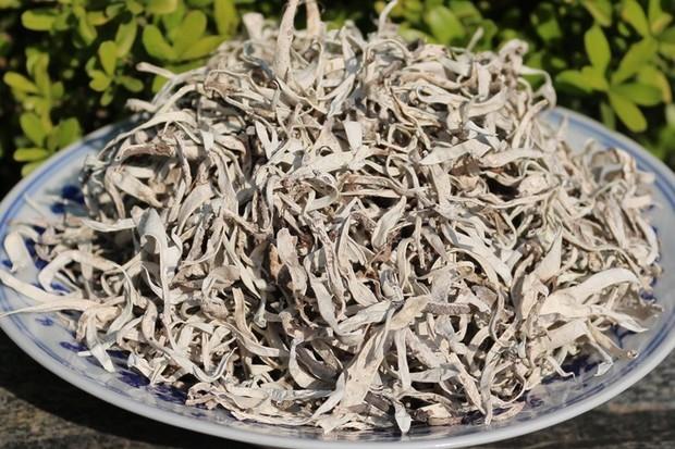 探索降血压的神奇茶叶，健康生活新选择