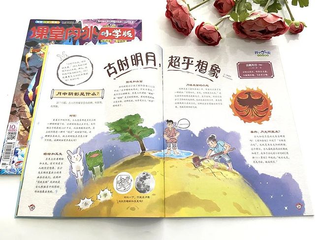 小学生基础知识大全集萃，打造坚实学习基础的宝典