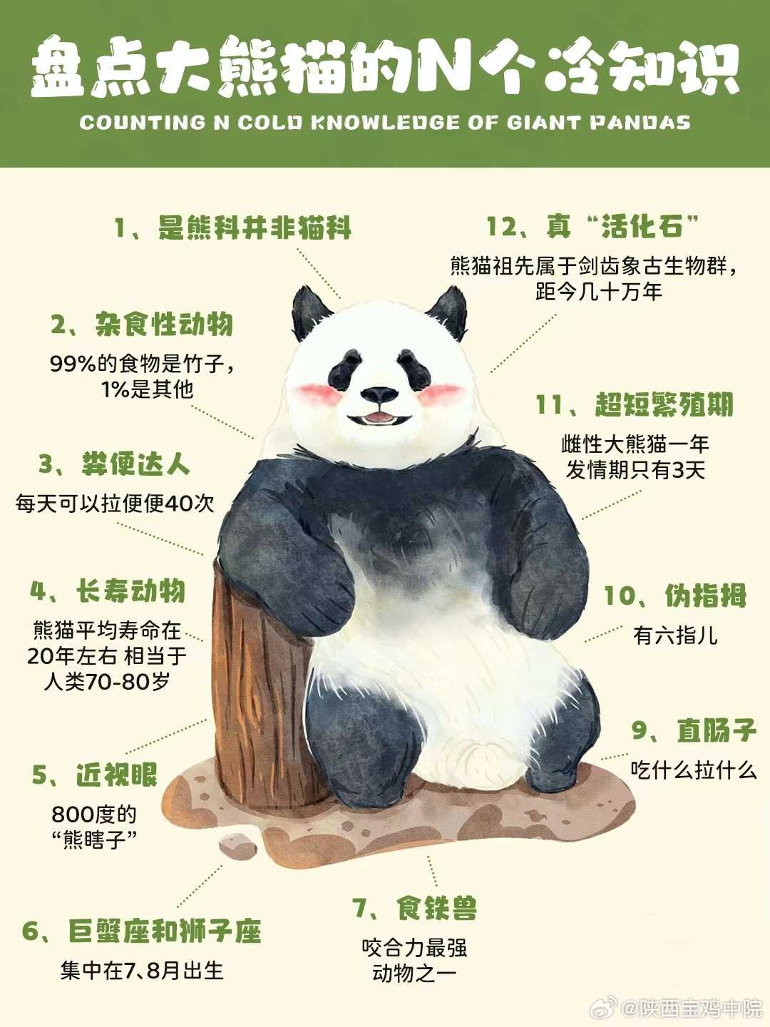 揭秘，一般人不知道的熊猫知识