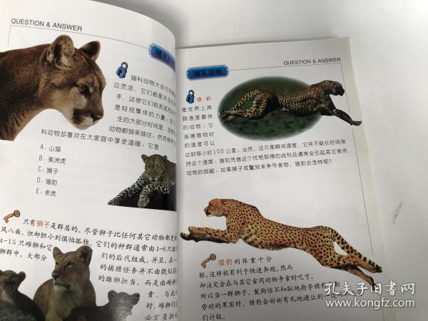动物百科常识选择题解析，探索动物世界的奥秘