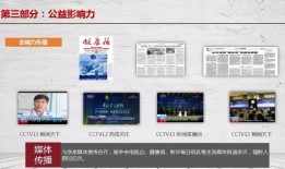 央视网，中国官方媒体的传播力量与社会责任