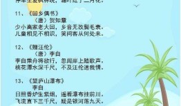 小学生基础知识大全100题，夯实基础，助力成长