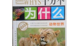 动物百问百答视频大全，探索动物世界的奥秘