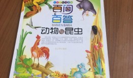 动物百问百答视频大全，探索动物世界的奥秘