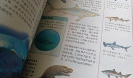 动物类百科全书电子版，探索生命的奥秘