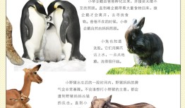 动物百科知识大全及答案，挑战你的知识极限