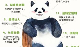揭秘熊猫，一般人不知道的十大冷知识