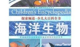 探索知识的海洋，如何高效下载和利用百科全书