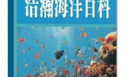 探索知识海洋，百科问答软件推荐与下载指南