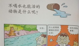 动物百问百答视频教学，探索动物世界的奥秘
