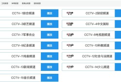 央视网主页域名解析，探究中国中央电视台官方网站的网络标识