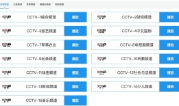 央视网主页域名解析，探究中国中央电视台官方网站的网络标识