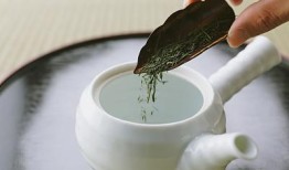 高血压患者适合喝茶吗？探索茶的健康益处与风险