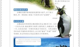 探索知识的海洋，儿童百科全书在线听的奇妙世界
