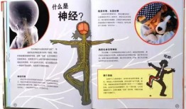 百科知识，探索世界的万花筒