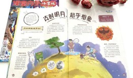 小学生基础知识大全集萃，打造坚实学习基础的宝典