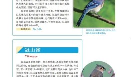动物类百科全书电子版，探索生命的奥秘