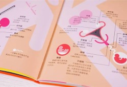 秒懂百科原声，探索声音背后的故事