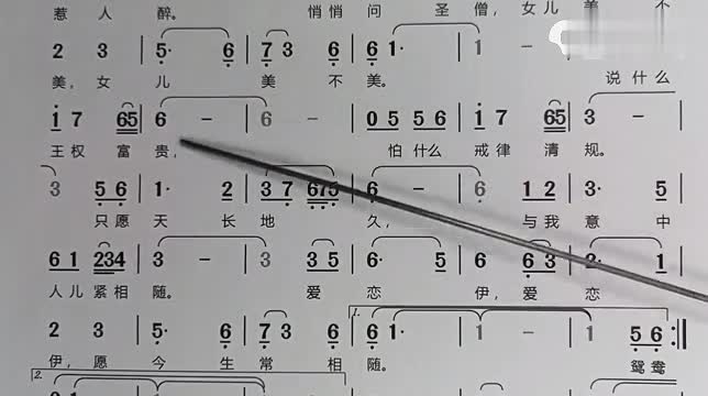 王志安视频结尾曲，音乐与情感的完美融合