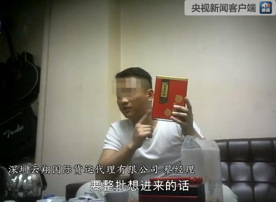 王志安视频vk，揭秘网络红人背后的成功秘诀